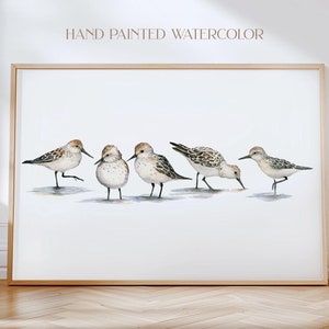 Coastal Wall Art Sandpiper Art Coastal Beach Art Beach House Decor Coastal Art Watercolor Print Sandpiper Watercolor Art Print Coastal Bird