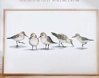 Coastal Wall Art Sandpiper Art Coastal Beach Art Beach House Decor Coastal Art Watercolor Print Sandpiper Watercolor Art Print Coastal Bird
