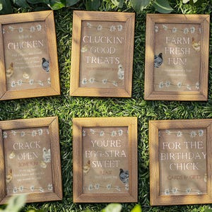Puede incluir: Seis carteles enmarcados de madera con fondos de papel marrón y detalles de margaritas blancas. Los carteles tienen diferentes mensajes sobre pollos, incluyendo "Adopta un pollo", "Rompe un huevo para divertirte", "Eres extra dulce", "Deliciosas golosinas para pollos", "¡Granja fresca y divertida!" y "Para el pollo de cumpleaños".