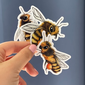 Bee Sticker Honeybee Sticker Vinyl Bee Sticker Set Waterproof Bee Sticker Water Bottle Laptop Sticker Car Bumble Bee Car Decal Transparent
