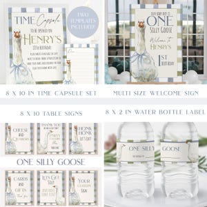 Op de afbeelding: Een verzameling feestdecoraties met het thema "One Silly Goose". Inclusief een welkomstbord, een tijdscapsule set, tafelsignalen en waterfleslabels. De ontwerpen tonen een aquarel gans met een blauwe strik en tekst in een blauw en groen geruit kader.