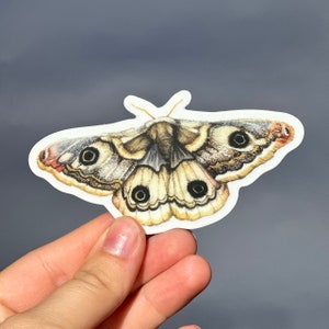 Woodland Sticker