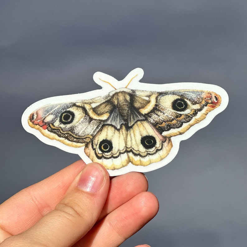 Woodland Sticker