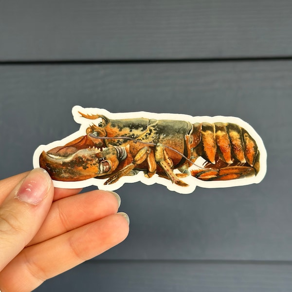 She's my lobster sticker he's my lobster red lobster vinyl sticker clear vinyl sticker durable lobster sticker water bottle sticker