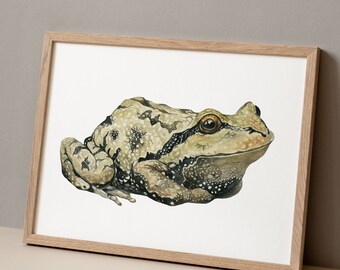 Watercolor Frog Print Woodland Nursery Wall Decor Boy Theme Room Frog Decoration Woodland Animal Art Print Toad Whimsical Nursery Frog Art