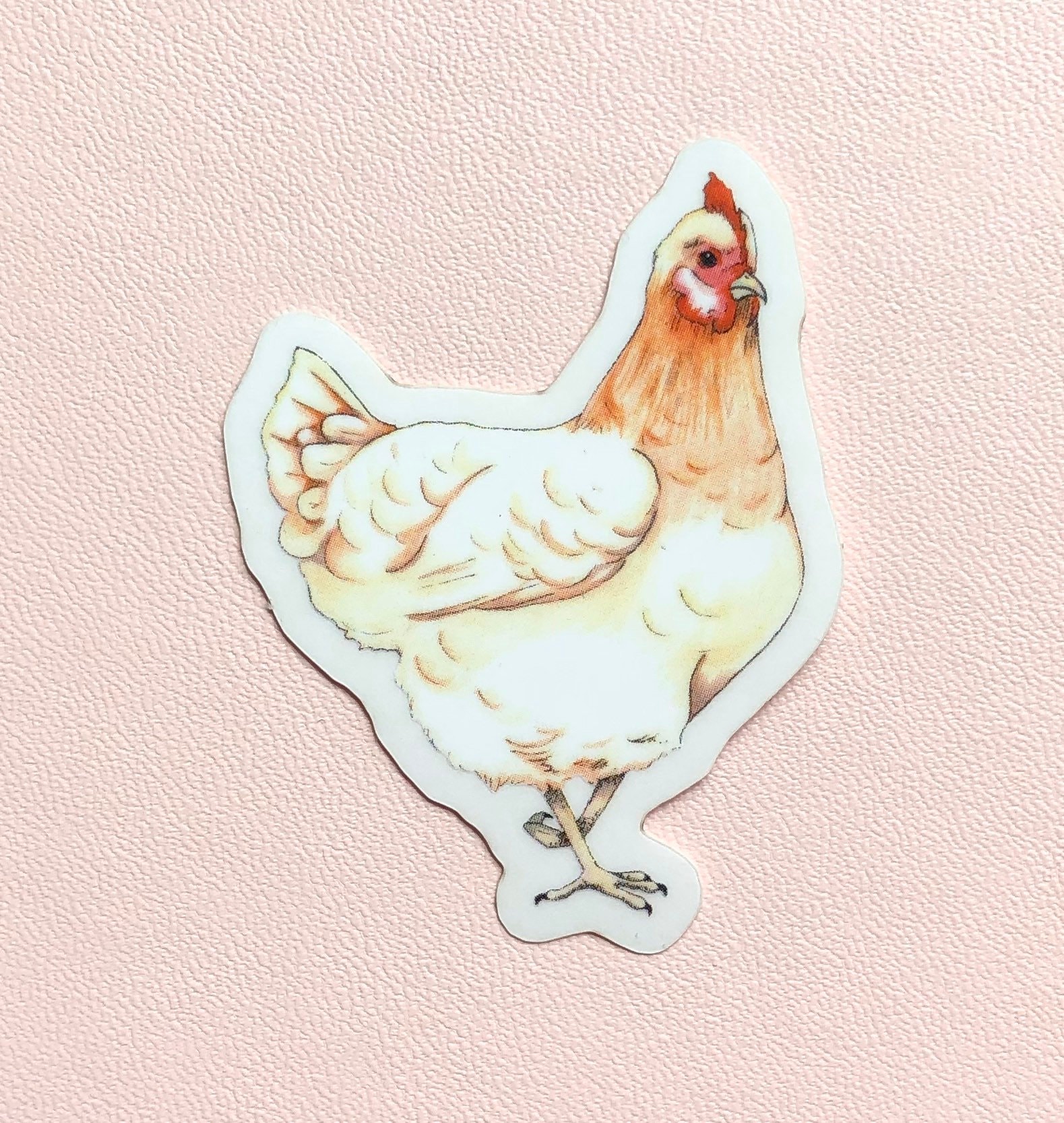 Chicken sticker chicken chicken stationary outdoor | Etsy
