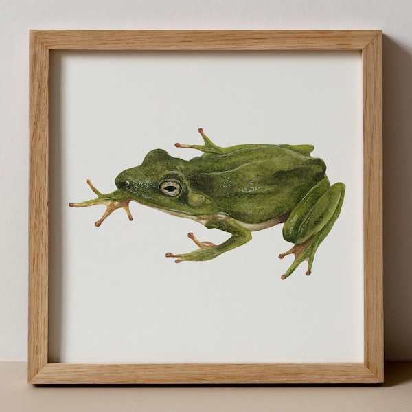 Grenouille thème pépinière décor princesse et la grenouille pépinière Art impression bois pépinière décor grenouille chambre mur Art cadeau pour jardinier grenouille impression