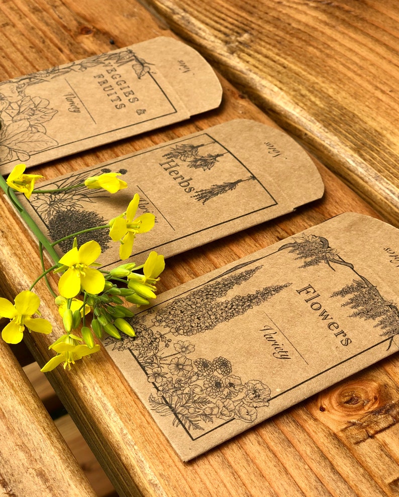 printable seed packet seed envelopes seed saving template etsy