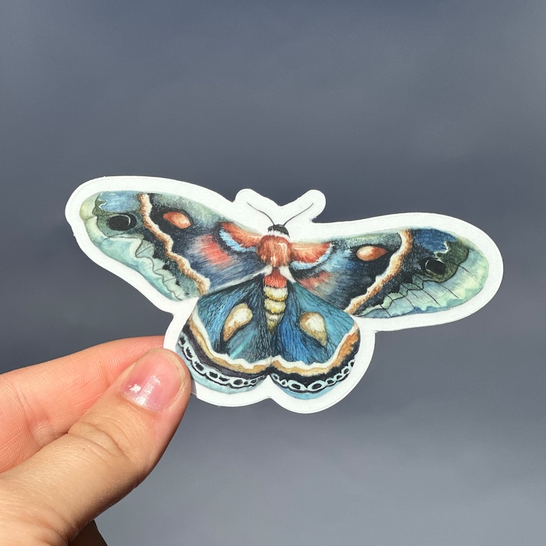 Moth Car decal Sticker