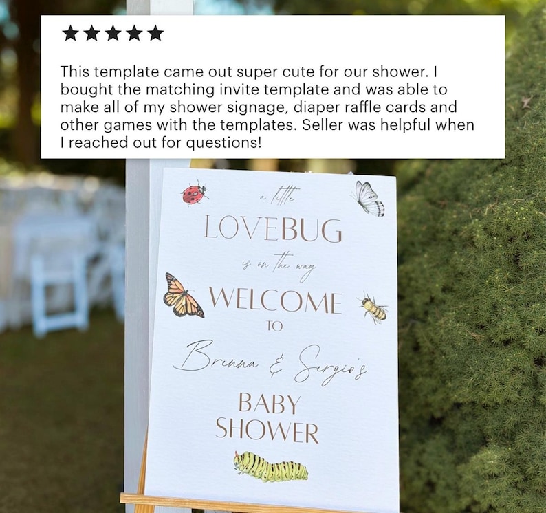 Editable Love Bug Baby Shower Welcome Sign Bundle Butterfly Shower Sign Digital Template Entrance Sign Baby Shower Decor Ladybug Baby Girl image 3