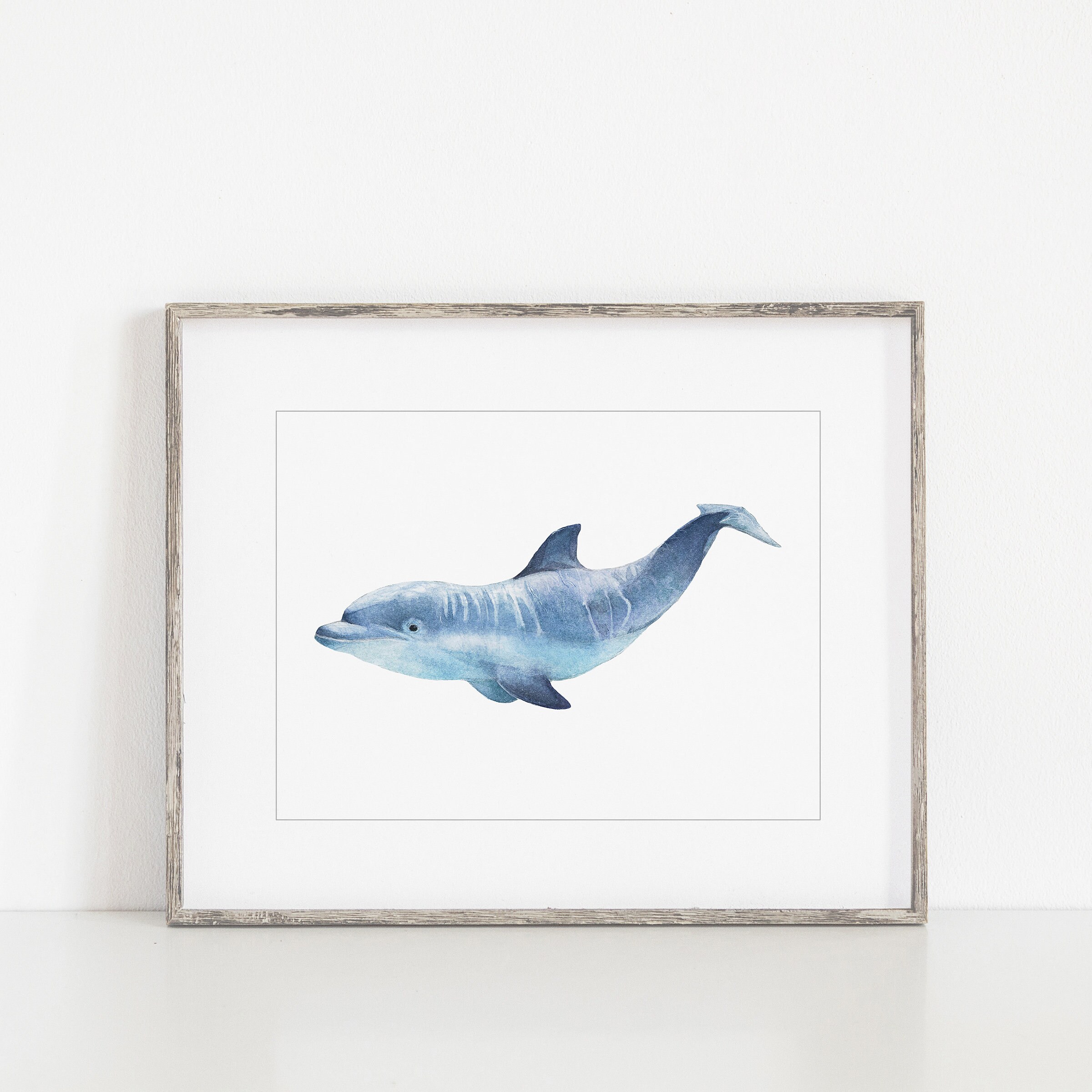Dolphin Watercolor Art Bottlenose Dolphin Watercolor Painting - Etsy