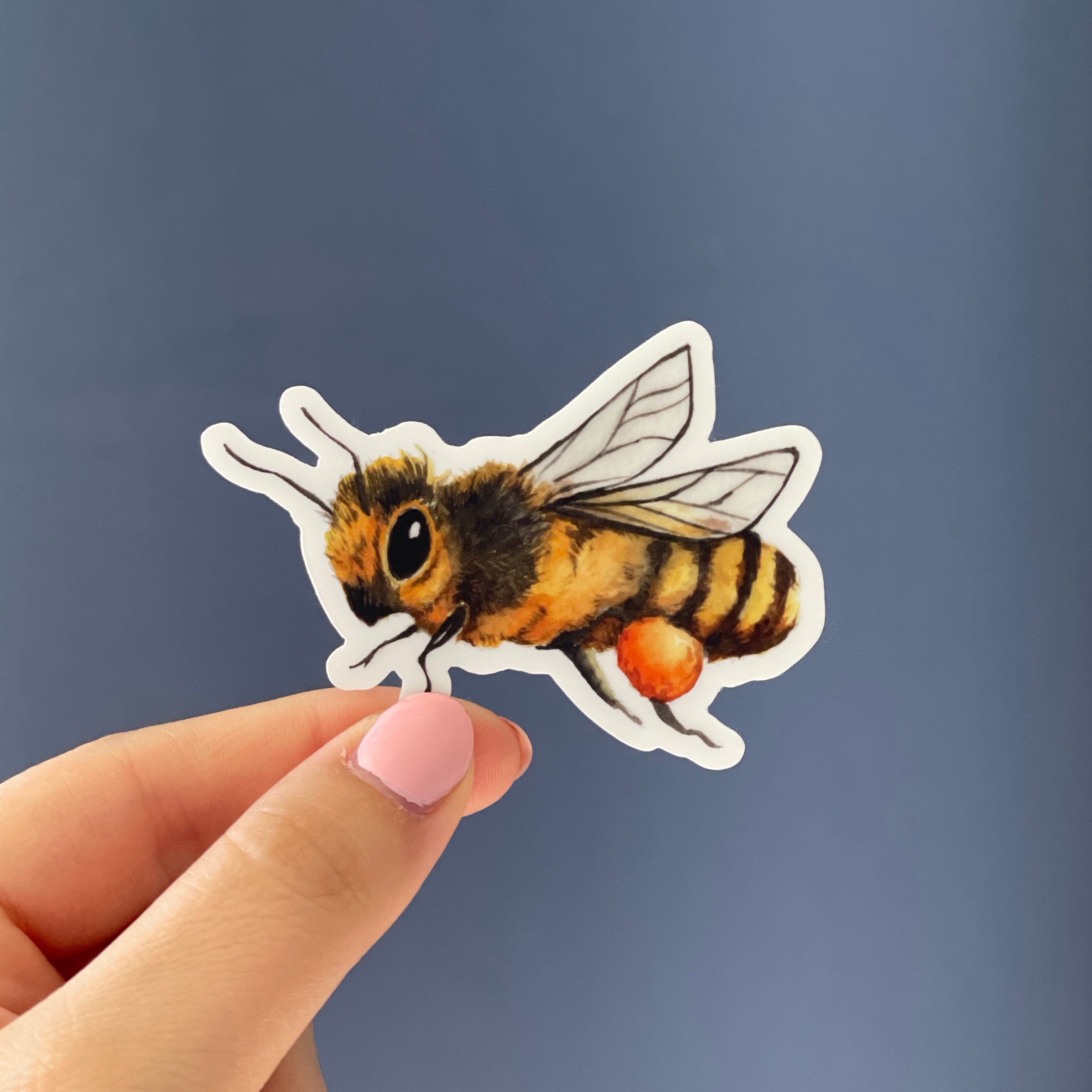Bee Sticker Honeybee Sticker Vinyl Bee Sticker Set Waterproof Bee ...