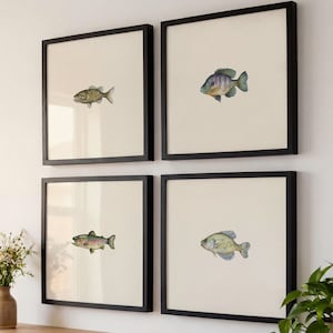 May include: Four framed fish art prints. Each print features a different watercolor illustration of a fish against a cream-colored background. The frames are black and square, creating a cohesive wall art set.