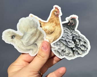Chicken Sticker Set Cute Animal Stickers Pack Chicken Gifts Water Bottle Stickers Laptop Sticker Pack Chicken Sticker Silkie Wyandotte Hens