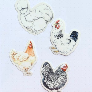 chicken sticker chicken stationary outdoor stickers vinyl stickers chicken stickers die cut stickers chicken lover gifts Laptop Sticker