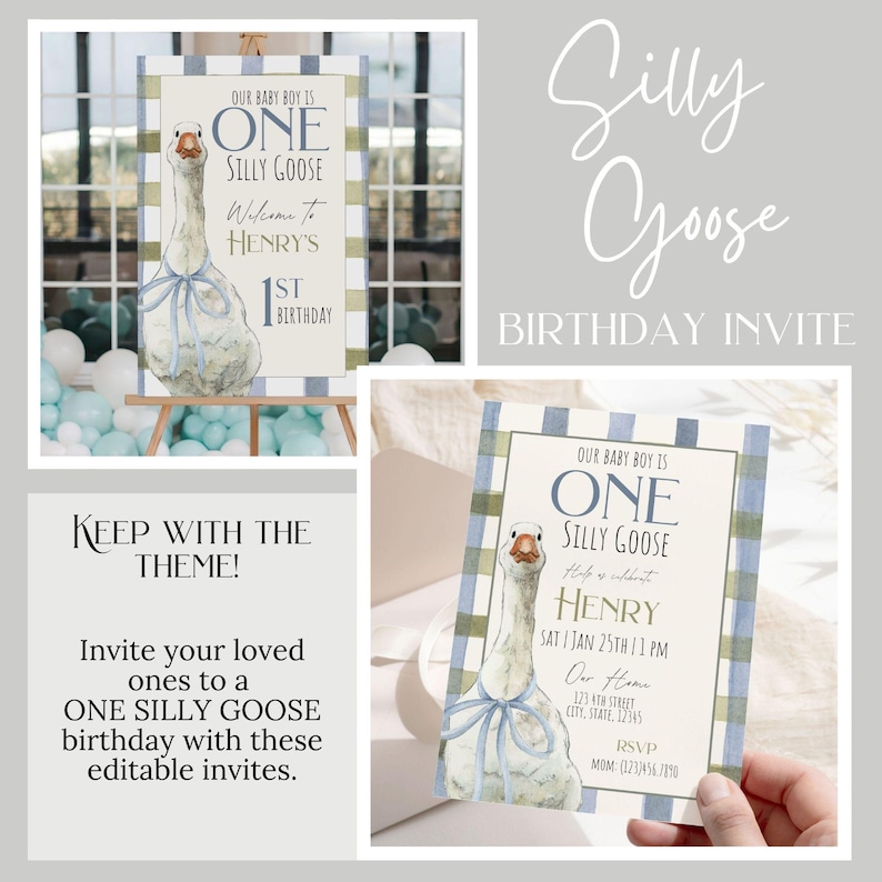 May include: A blue and green plaid invitation with a watercolor illustration of a goose. The text reads "Our baby boy is one silly goose Henry Sat Jan 25th 11 PM Our Home 173 4th Street City, State, 12345 RSVP Mom (123) 456-7890".