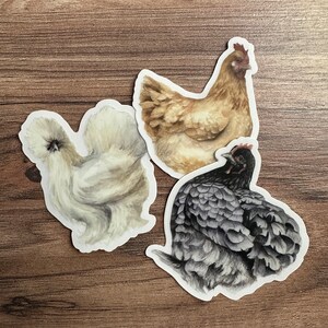 Chicken Sticker Set Cute Animal Stickers Pack Chicken Gifts Water ...