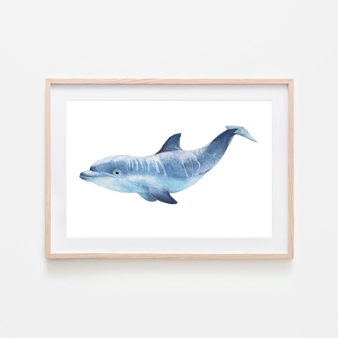 Dolphin Watercolor Art Bottlenose Dolphin Watercolor Painting - Etsy