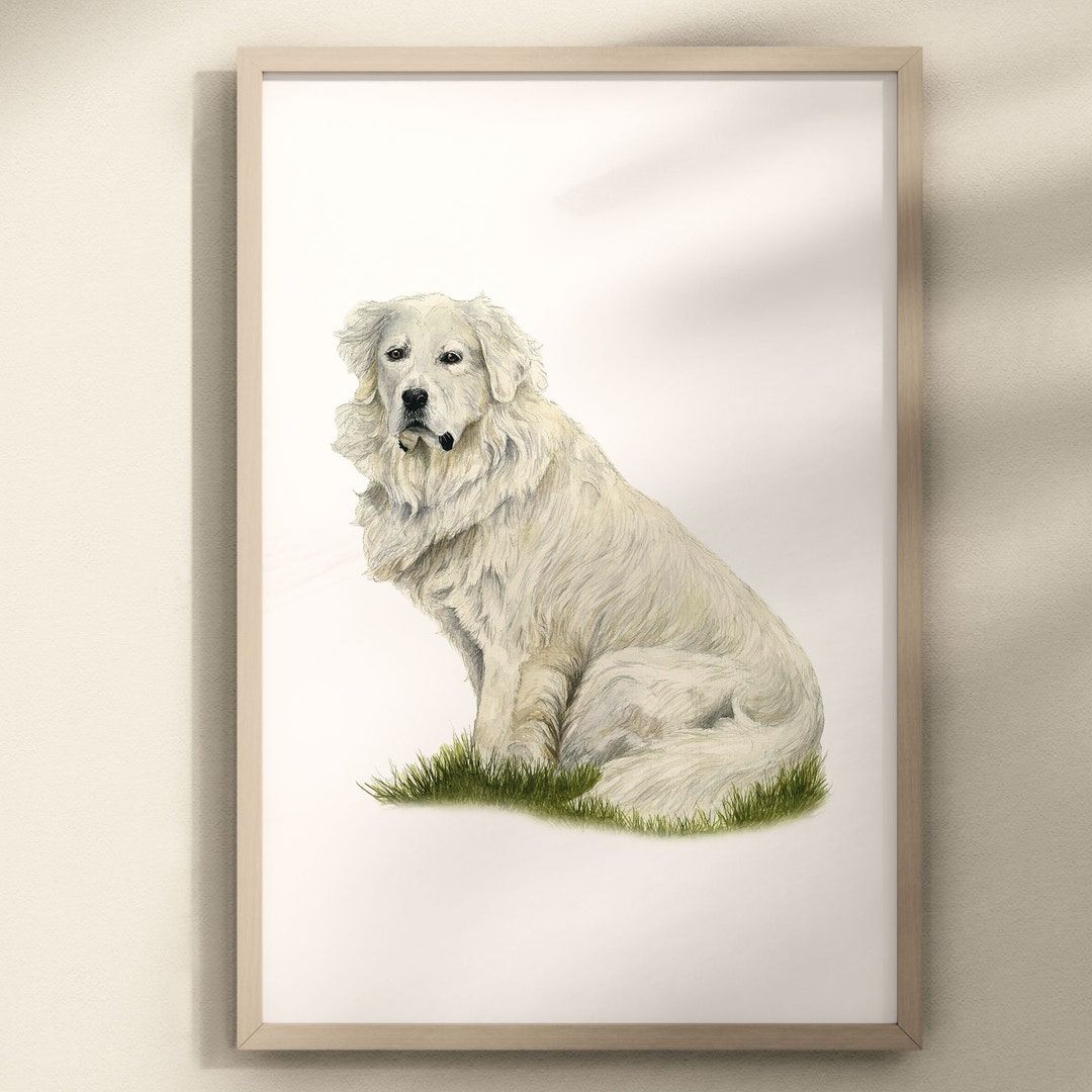 Great Pyrenees Art Print Livestock Guardian Dog Great Pyrenees Print ...