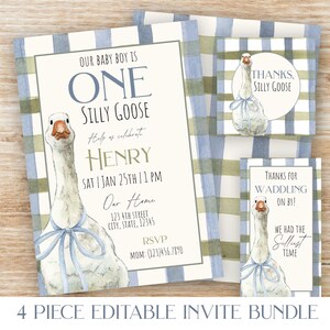 One Silly Goose Birthday Invitation 1st Boy Birthday Bundle Silly Goose Party Decor