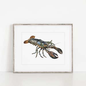 Lobster art sea life wall art Modern Coastal art Lobster Decor Cape Cod Art Sea life print Cape cod wall art watercolor lobster