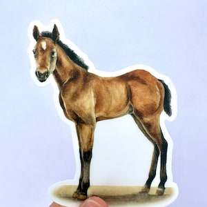 Horse Sticker Gift Western Theme Gift Sticker Horse Lover Sticker Horse Decal Western Sticker Horse Laptop Sticker Transparent Vinyl Sticker