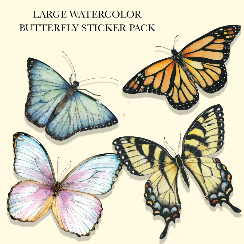 Butterfly Sticker Pack Butterfly Vinyl Die Cut Sticker Set Butterfly ...