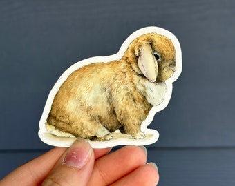 Holland lop vinyl sticker lop eared rabbit sticker watercolor bunny sticker clear rabbit vinyl sticker kiss cut sticker lap top decal Rabbit