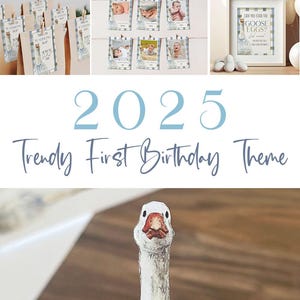 Op de afbeelding: Feestdecoraties met het thema "One Silly Goose". Inclusief uitnodigingen, taarttoppers, fotokaarten en borden. Het ontwerp heeft een blauw-wit kleurenschema en een grillige ganzenillustratie.