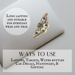 May include: A laptop with a butterfly sticker that says "Long lasting and durable for everyday wear and tear". The laptop is on a gray surface. Below the laptop is a white rectangle with the text "Ways to use Laptops, Tablets, Water Bottles Car Decals, Stationary, & Gifting".