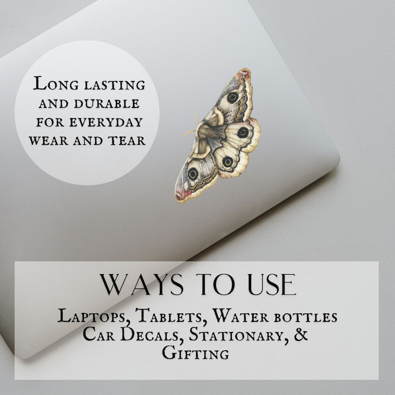 May include: A laptop with a butterfly sticker that says "Long lasting and durable for everyday wear and tear". The laptop is on a gray surface. Below the laptop is a white rectangle with the text "Ways to use Laptops, Tablets, Water Bottles Car Decals, Stationary, & Gifting".