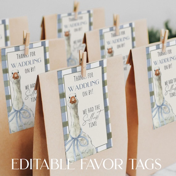 Silly Goose Theme 1st Birthday Party Decor Boy One Silly Goose Party Favor Tag Blue Silly Goose Thank You Tag Canva Cupcake Topper Editable