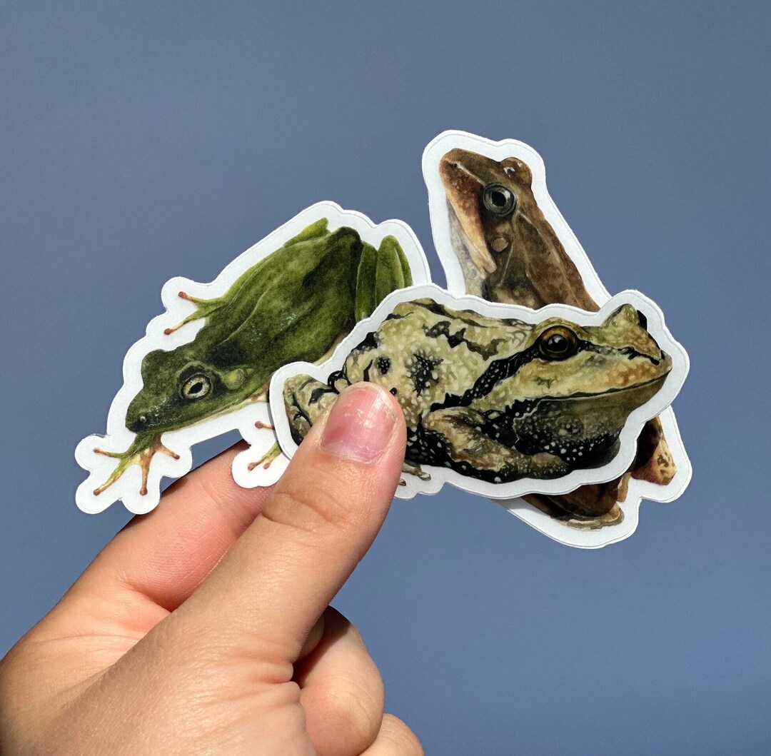 Cute Frog Sticker Set of 3 Cottagecore Sticker Set Clear Vinyl Sticker ...