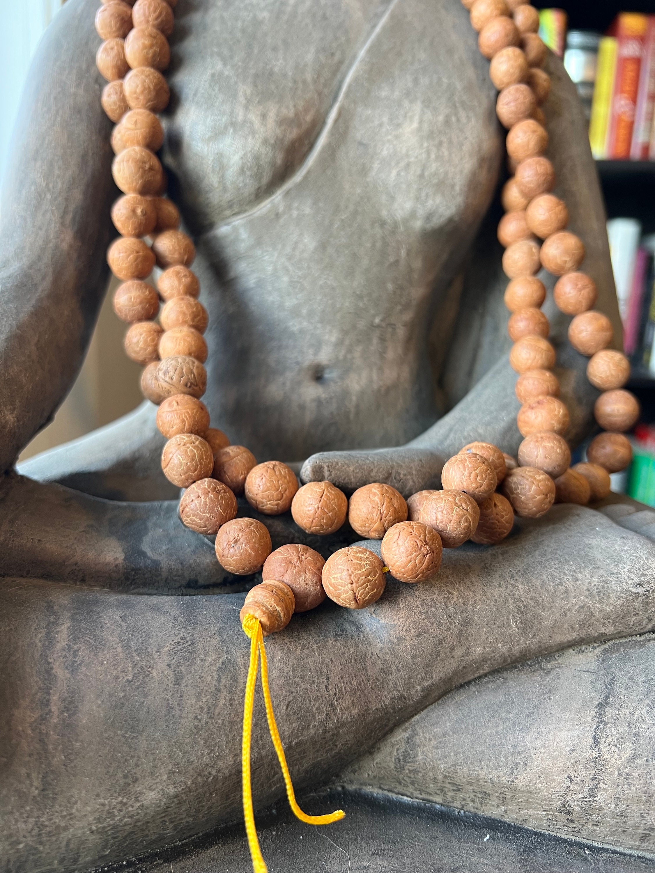 BODHI SEED MALA 108 BIG BEEDS – Vedic Healing Modalities-Lama Fema