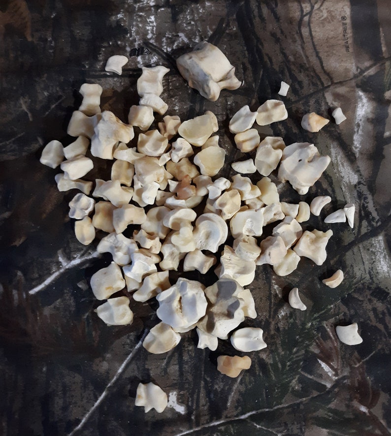 deer bone shoe care