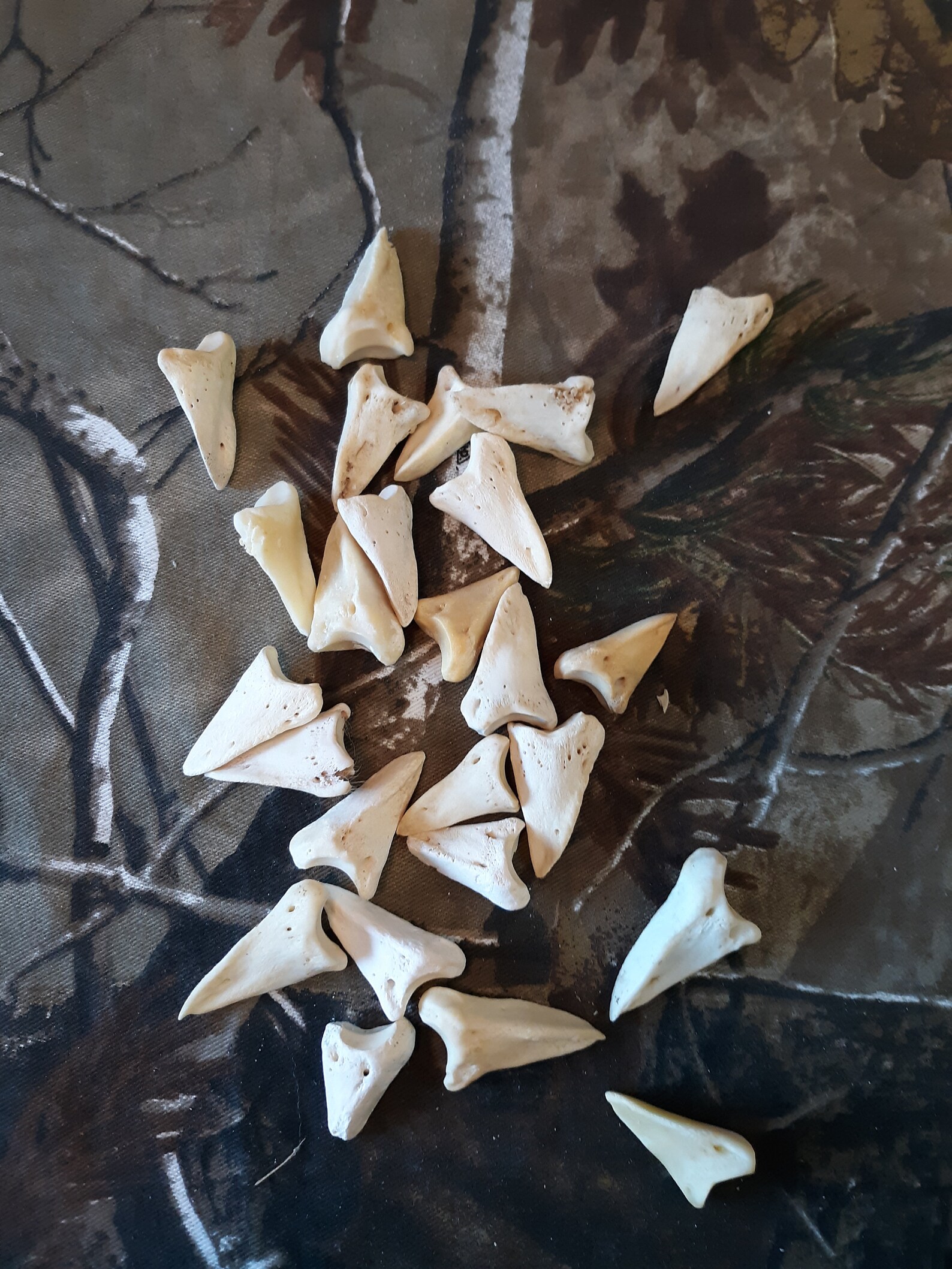 Whitetail deer foot bones Etsy