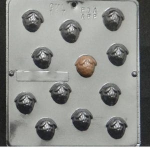 May include: A silver metal mold with 12 individual cavities shaped like acorns. The mold has the text "FDA APP" and "9117" printed on it.