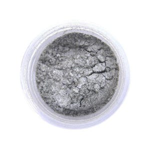 Nu Silver - Coin Silver Luster Dust 2 grams - Cake Decorating Dusts Gum Paste DP-01