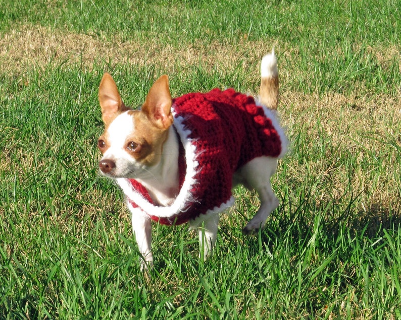 Hooded Dog Sweater PATTERN, Crochet Dog Hoodie, Dog Coat 2 Sizes XS S, Extra Small, Small Holiday Hoodie Pattern image 3