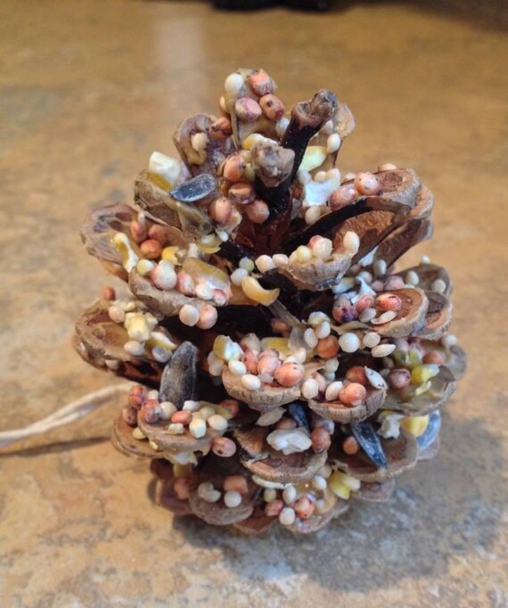 All Natural Pine Cone Bird Seed Feeder set of 10 /Christmas