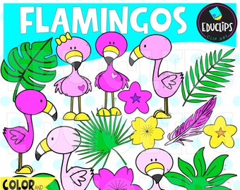 Flamingos Clip Art, Summer Graphics, Bird Images, COMMERCIAL USE