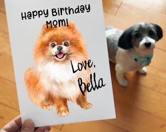 国内正規品 Pomeranian Mom ママかわいいポメラニアン子犬犬オーナーギフト トレーナー おしゃれ人気 Farmerscentre Com Ng