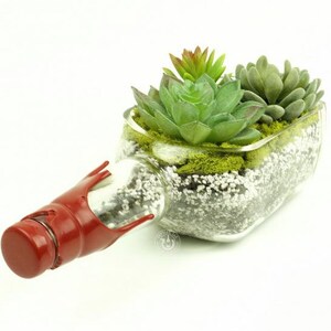 May include: A repurposed glass bottle planter, cut and reshaped to hold succulents. The planter features a red wax seal and is filled with green succulents, moss, and small white stones. The bottle is clear, allowing the contents to be visible.