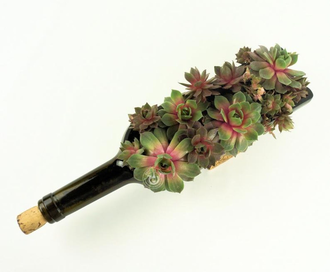 Wine Bottle Planter / Succulents Planter / Cacti Planter / Bordeaux ...
