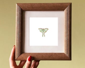 Luna Moth Watercolor Print, Miniature Nature Art, Whimsical Home Decor