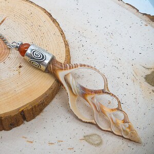 May include: A silver and brown seashell pendulum with a chain and two carnelian beads. The pendulum is on a wooden surface.