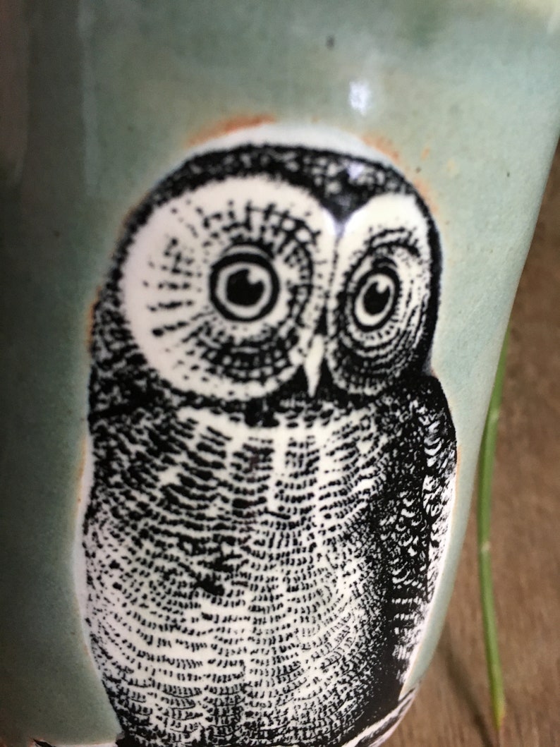 Owl Mug in Green or Cream Stoneware image 4