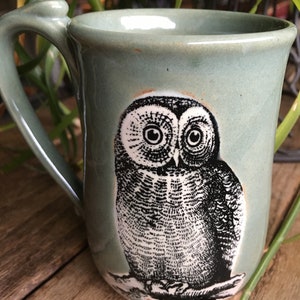 Owl Mug in Green or Cream Stoneware Green