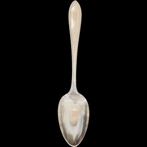 May include: A silver spoon with an ornate design on the handle.