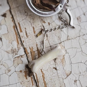 Op de afbeelding: Een close-up van een botvormige thee-infuser met een zilveren ketting en een roestvrijstalen thee-ei gevuld met theebladeren. Het bot is gebroken wit en rust op een verweerd, wit geschilderd houten oppervlak.